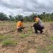 Dukung Ketahanan Pangan Nasional, Polsek Rokan IV Koto Intensifkan Pemantauan Tanaman Jagung di Desa Lubuk Bendahara Cegah Gagal Panen