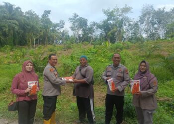 Polsek Rambah Hilir Dukung Swasembada Pangan Nasional melalui Benih Jagung Unggul dan Teknologi Pertanian di Desa Rambah