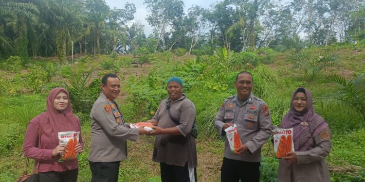 Polsek Rambah Hilir Dukung Swasembada Pangan Nasional melalui Benih Jagung Unggul dan Teknologi Pertanian di Desa Rambah
