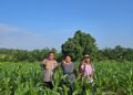 Pastikan Produktivitas Jagung Tetap Optimal, Kabag SDM Polres Rokan Hulu Tinjau Lahan Ketahanan Pangan Seluas 6 Hektare