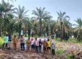 Polsek Rokan IV Koto Kawal Penanaman Jagung Kuartal II di Desa Air Panas , Perkuat Swasembada Pangan Nasional