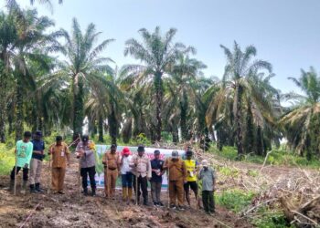 Polsek Rokan IV Koto Kawal Penanaman Jagung Kuartal II di Desa Air Panas , Perkuat Swasembada Pangan Nasional