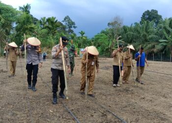 Polsek Rokan IV Koto Optimalkan Lahan Produktif di Desa Tibawan untuk Perkuat Ketahanan Pangan Nasional