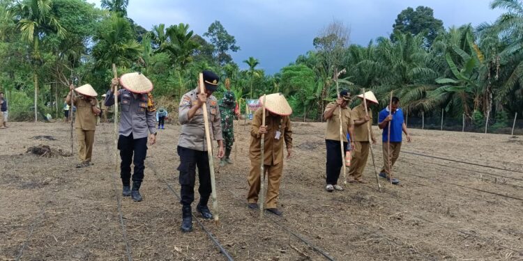 Polsek Rokan IV Koto Optimalkan Lahan Produktif di Desa Tibawan untuk Perkuat Ketahanan Pangan Nasional