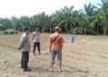 Polsek Kunto Darussalam Pastikan Kesiapan Lahan Jagung di Desa Kembang Damai Perkuat Ketahanan Pangan Nasional