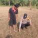 Polsek Kunto Darussalam Pastikan Kesiapan Lahan Jagung di Desa Kembang Damai Perkuat Ketahanan Pangan Nasional