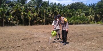 Polsek Kunto Darussalam Perkuat Pendampingan Budidaya Jagung di Desa Kembang Damai Dukung Swasembada Pangan Nasional